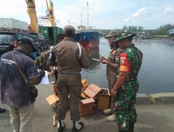Koramil 1710-07/Mapurujaya Bersama Polsek Mimika Timur dan Pemerintah Distrik Mimika Timur Lakukan Razia Miras