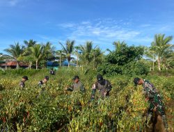 Manfaatkan Lahan Tidur Untuk Ketahanan Pangan di Wilayah Perbatasan RI-PNG