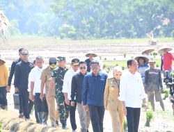 Panglima TNI Dampingi Presiden RI Tanam Padi di Jawa Tengah