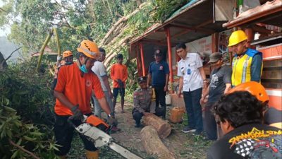 Wisatawan Telaga Sarangan Diminta Waspada, Cuaca Ekstrim Tumbangkan Dua Pohon Besar