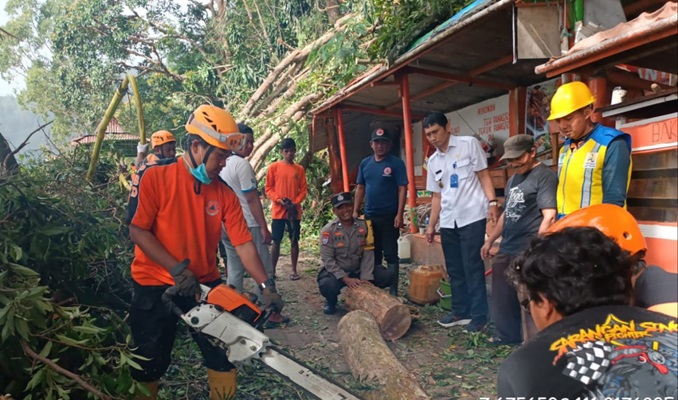 Wisatawan Telaga Sarangan Diminta Waspada, Cuaca Ekstrim Tumbangkan Dua Pohon Besar