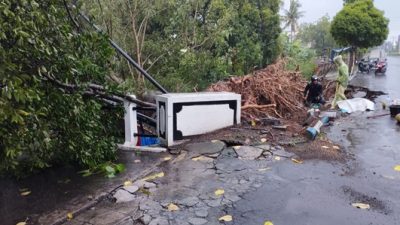 Terjangan Hujan Angin Menumbangkan Pohon Peneduh di Ponorogo