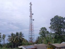 Indosat dan ZTE Perluas Pengalaman Digital di Indonesia dengan Teknologi Backbone Mikrowave iFlexiTrunk