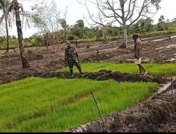 Babinsa Kuala Kencana Gelar Komsos Sembari Motivasi Para Petani Binaan