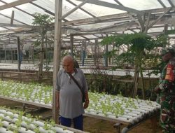 Babinsa Koramil 1710-03/Kuala Kencana Laksanakan Komsos Dengan Petani Hidroponik