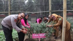 Polres Langkat Ikuti Launching Program Perkarangan Pangan Lestari bagi Ketahanan Pangan Nasional
