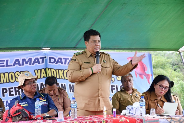 Bupati Samosir Panen Perdana Ikan Nila Pokdakan Mekar (3)