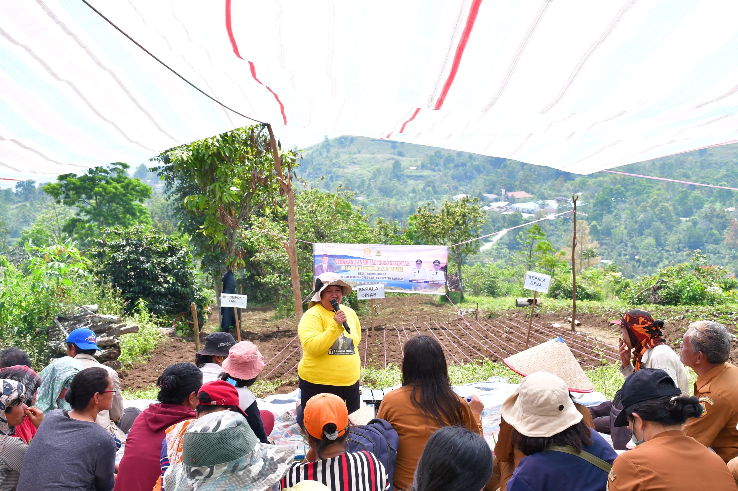 Perkuat Swasembada Pangan, Pemkab Samosir Menanam Padi Gogo di Sitaotao
