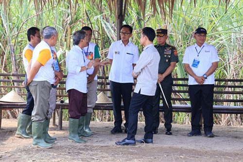 WhatsApp Image 2025-07-08 at 20.17.37 (1)