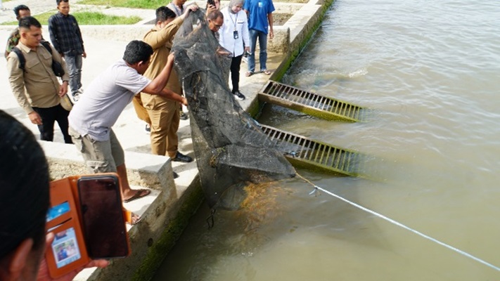 Pemkab Samosir Bersinergi dengan Perum LKBN Antara Tebar Sebanyak 3.000 Ekor Ikan Mas untuk Jaga Ekosistem Danau Toba